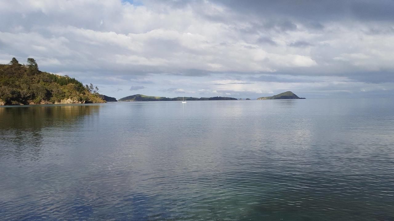 Long Bay Motor Camp Ξενοδοχείο Coromandel Εξωτερικό φωτογραφία